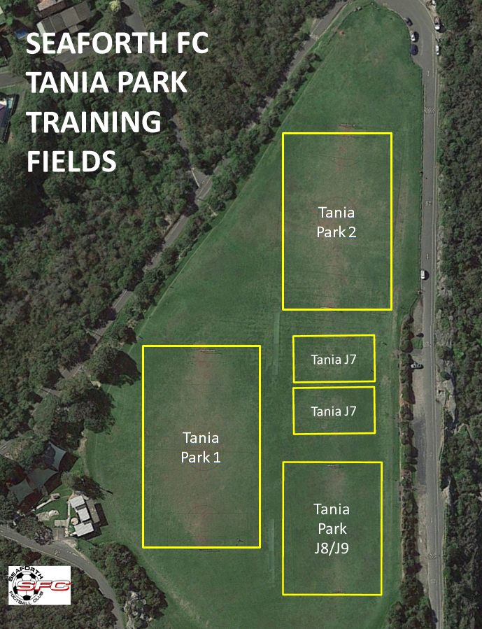 Tania Park Ground Layout and Schedule Seaforth FC